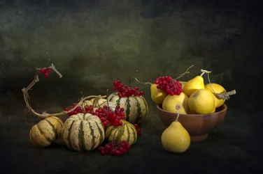 Harvest Gourds and Berries