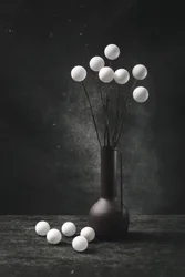 Minimalist White Spheres