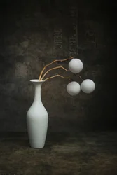 Organic White Still Life