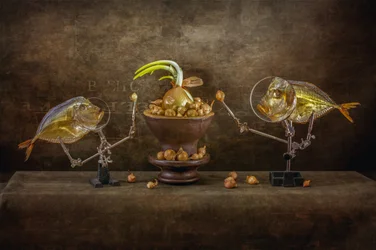 Whimsical Fish And Onions
