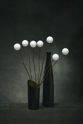 White Spheres Dark Vases