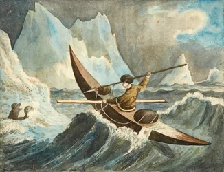 The Seal Hunt