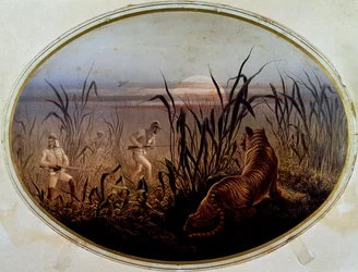 Tiger hunt led by the British military