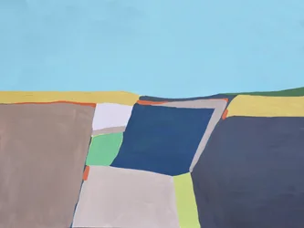 Geometric Sky Fields