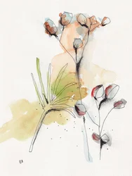 Modern Botanical Study