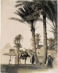 Palm Grove at the Foot of the Pyramids of Egypt - Photograph of the Zangali Brothers, Late 19th Century