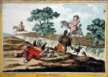 Hounds Finding
