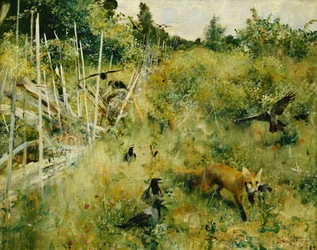 A Fox Taking a Crow
