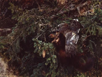 Marten and blackcock