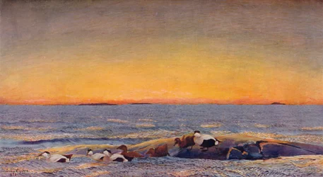 Sunrise