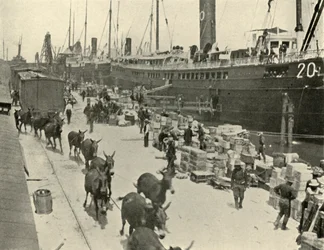Troopships at Port Tampa, Florida, USA, Spanish-American War, 10 June 1898