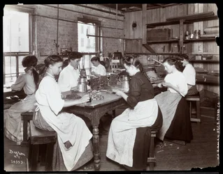 Women Working at the Hardman, Peck and Co. Piano Factory, New York
