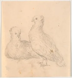 Two Doves