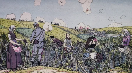 Our winegrowers harvested under fire, the harvest in the Champagne region in 1914, World War I, France, 20th century