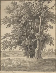 The Island at Valsølille