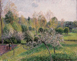 Apple Trees in Blossom, Eragny