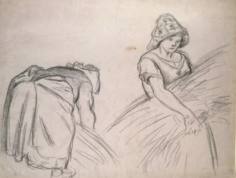 Study of Two Female Harvesters