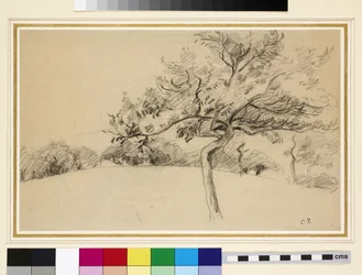 Study of the orchard at Eragny-sur-Epte with a tree in the foreground