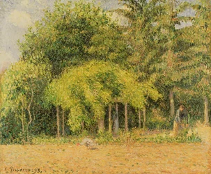 The Arbour at Eragny, 1893