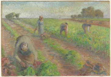 The Beet Harvest (La Récolte des Betteraves), 1881