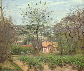 The Cottage, or the Pink House - Hamlet of the Flying Heart, 1870