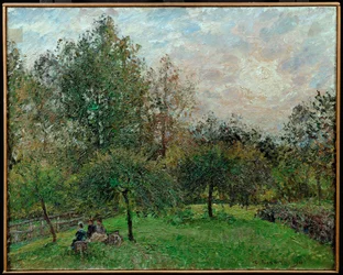 Apple Trees and Poplars in a Sunset