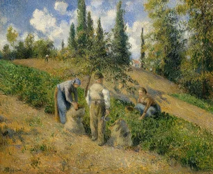 The Harvest, Pontoise