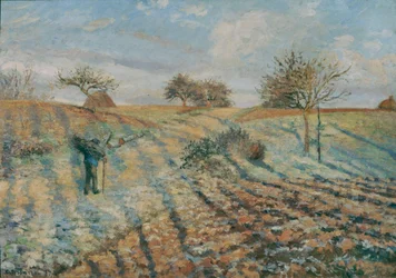 Hoarfrost