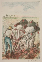 The Plow