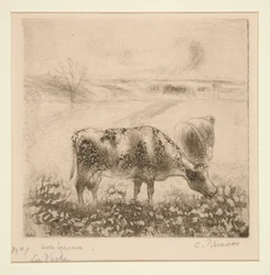 The Cow