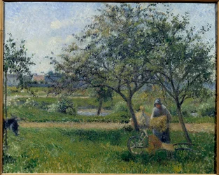 The Wheelbarrow, Orchard
