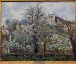 Vegetable garden and trees in bloom in spring in Pontoise, plum trees in bloom, 1877, dimensions 0.65 x 0.81 m, Paris, Musée d
