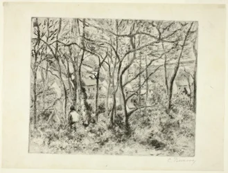 Woodlands at the Hermitage