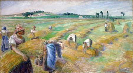 The Harvest