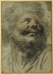 Head of a bearded man, looking up to the right