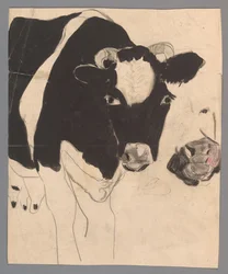 Cow
