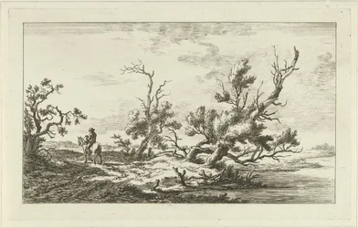 Rider in a Landscape