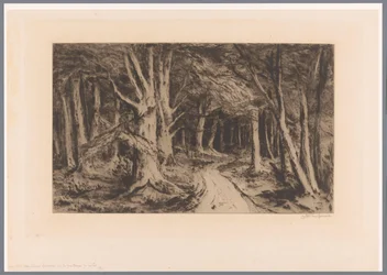 Forest Edge with Forest Path
