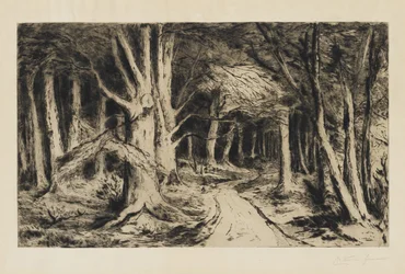 Forest Path