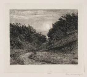 A Moonlit Summer Evening