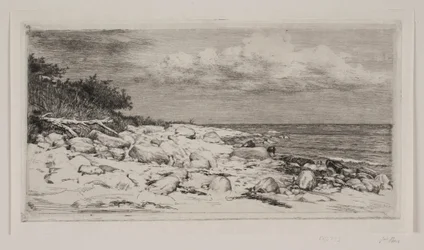Rocky Shore
