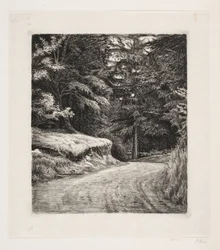 The Road in the Pine Forest