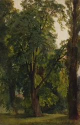 Wood in Konigswusterhausen