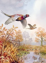 Over the Fen