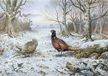 Pair of Pheasants with a Wren