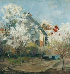 View from the Studio