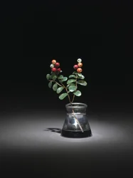 Cranberry, late 1800s-early 1900s