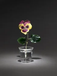 Pansy, late 1800s-early 1900s