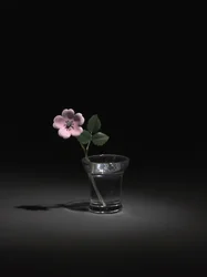 Wild Rose