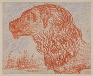 Lion Head